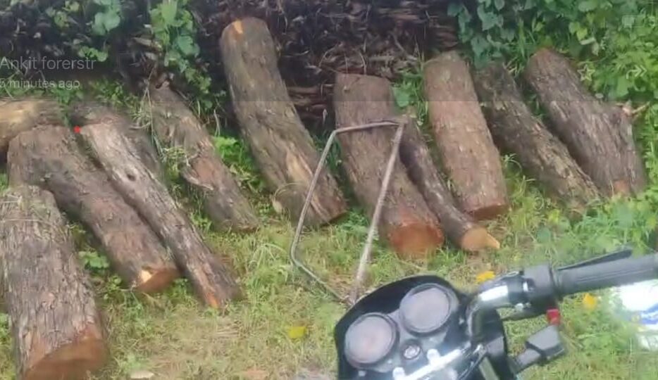 रिर्जव फारेस्ट व सेंचुरी एरिया मेहरनीवाला जंगल में खैर के पेड़ों का अवैध कटान,बाइक व लकड़ी काबू