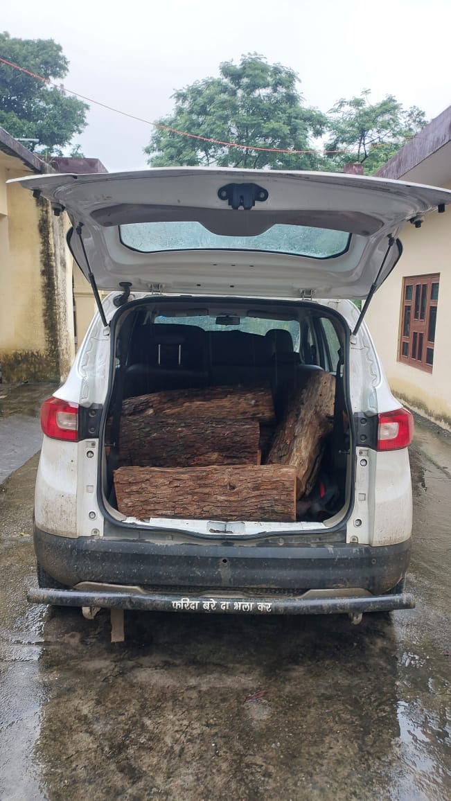 कलेसर नेशनल पार्क में हुआ खैर का अवैध कटान, ट्राइबर गाड़ी में लादी लकड़ी छोड़ भागा ड्राइवर