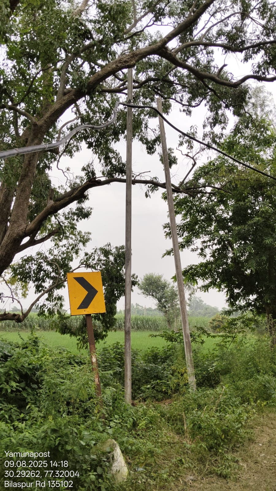बिना एफसीए अप्रूवल के बिलासपुर छछरौली रोड पर गाड दिए बिजली के खंबे, रेंज अधिकारी बोले चेक करवाएंगे