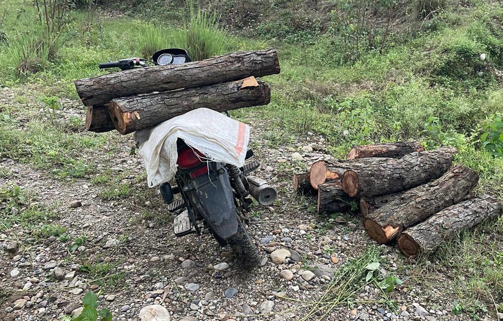 रिर्जव फारेस्ट बीड़ ताहरपुर में खैर तस्करों ने काटे चार पेड़, लकड़ी तो ले जा नहीं सके अपनी बाइक भी छोड़कर भागे