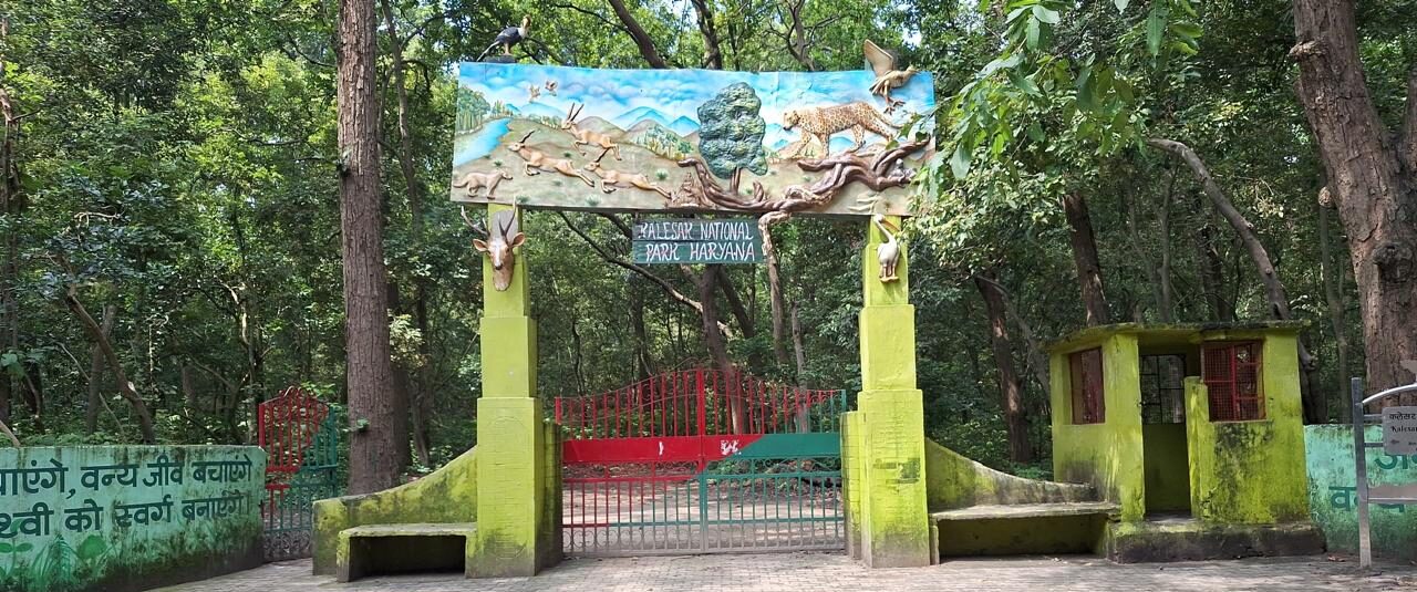 बिना स्टाफ कैसे होगी जंगल की रखवाली, सीसीएफ वाइल्ड लाइफ के निर्देश मौजूदा स्टाफ ही करेगा देख-रेख