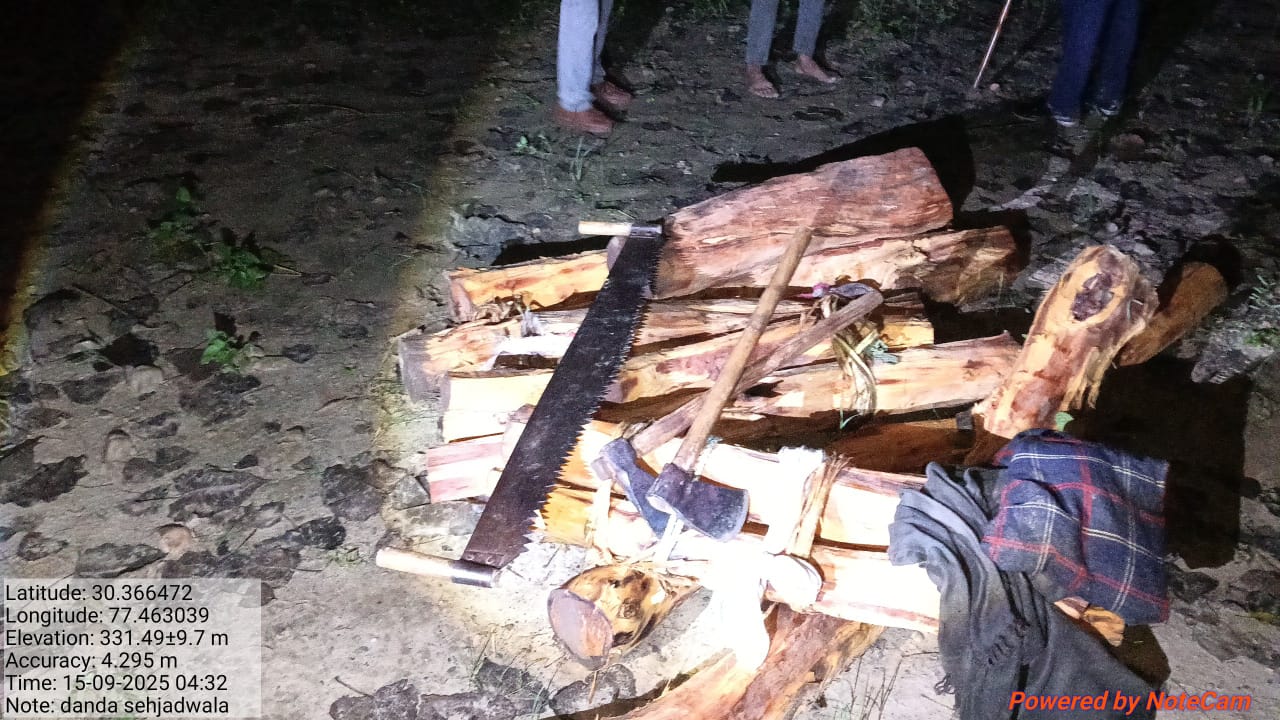 वाइल्ड लाइफ सेंचुरी एरिया से हुआ खैर का अवैध कटान, तीन पेड़ काट डाले, एक आरोपी को किया काबू
