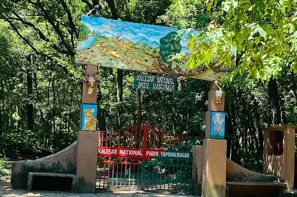 नेशनल पार्क व सेंचुरी एरिया के वाइल्ड लाइफ को ट्रांसफर होने के बाद फारेस्ट ब्लाक्स का पुर्नगठन