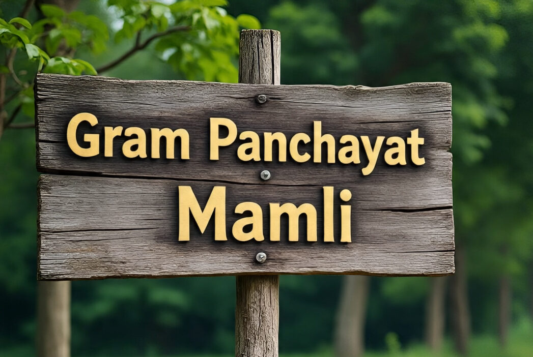 मामली पंचायत ने छुड़ाई अवैध कब्जाई जमीन, बढ़ी पंचायत की आमदनी, विकास की रफ्तार बढ़ी