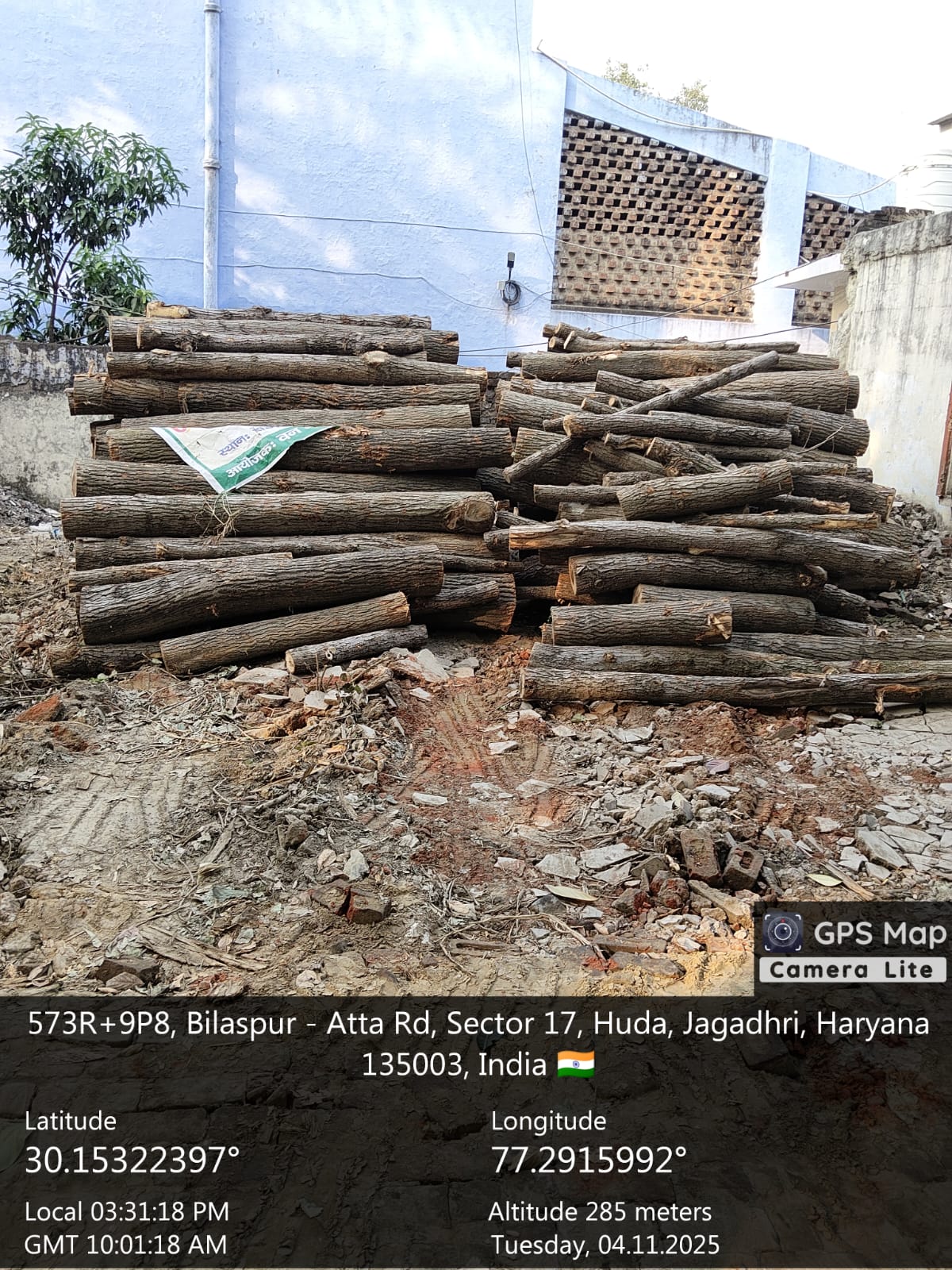 जगाधरी रेंज के अंतर्गत सड़क किनारे खड़े 70 पेड़ों का हुआ कटान, विभाग ने डीआर काट मामला किया रफा-दफा