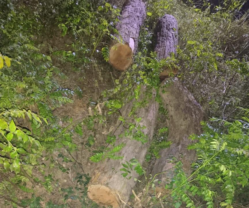 चिक्कन वन्य प्राणी विहार से सांभर के सींग, वन्य जीवों के शिकार में उपयोग होने वाली कड़क्कियां व तीन बाइक व खैर की लकड़ी बरामद