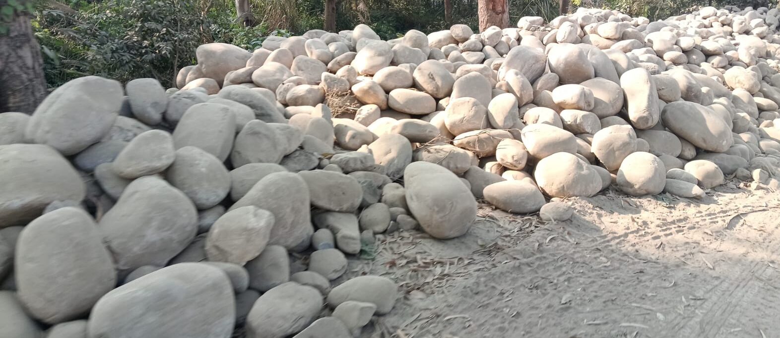 बाढ़ बचाव कार्यों में इस्तेमाल पत्थर पर रायल्टी न वसूलने से 2.12 करोड़ के राजस्व का नुकसान, विजिलेंस विंग की जांच में खुलासा