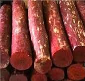 लाल चंदन की लक़ड़ी की सुरक्षा और संरक्षण के लिए आंध्र प्रदेश वन विभाग को 39.84 करोड़ रुपये जारी