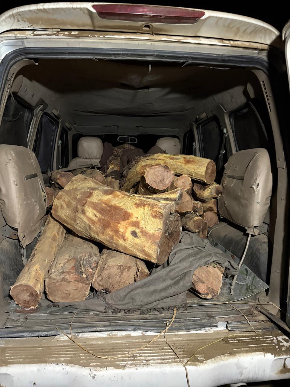 वन्य प्राणी विहार खिल्लांवाला में हुआ अवैध कटान, खैर से लदी स्कोर्पियो गाड़ी पकड़ी