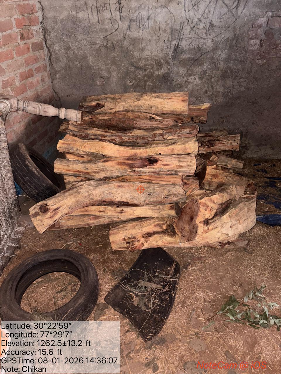 सेंचुरी एरिया चिक्कन में अवैध कटान के बाद वाइल्ड लाइफ व पुलिस की चिक्कन में रेड: बड़ी मात्रा में लकड़ी बरामद