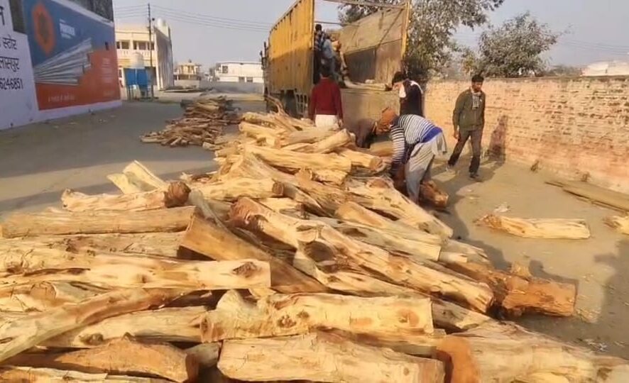 वन मंडल यमुनानगर के जंगलों से काटी खैर की लकड़ी से भरा ट्रक पकड़ा, आरोपी फरार, 100 किवंटल के करीब लकड़ी जब्त