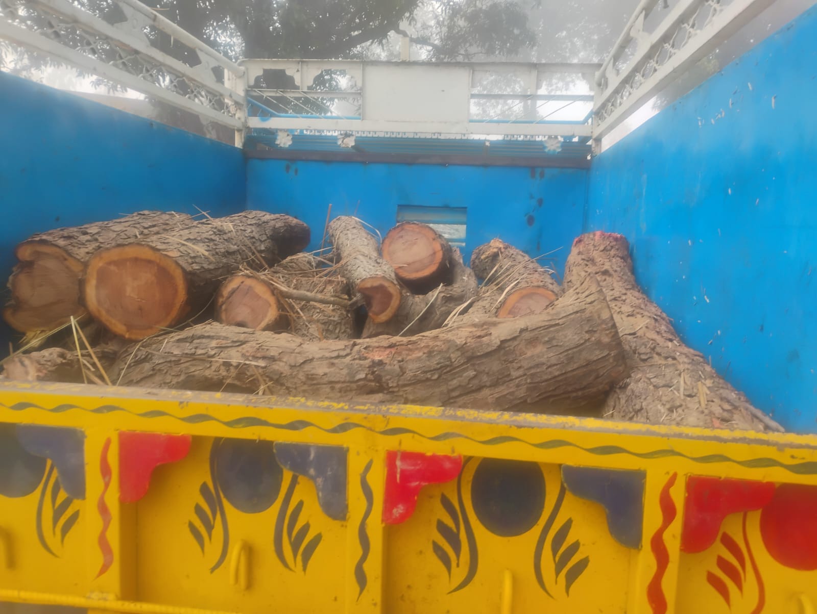 पीएफ खोल फतेहगढ़ से खैर का अवैध कटान: लकड़ी से भरी गाड़ी लेकर निकले ही थे आरोपी, स्टाफ ने धर लिए