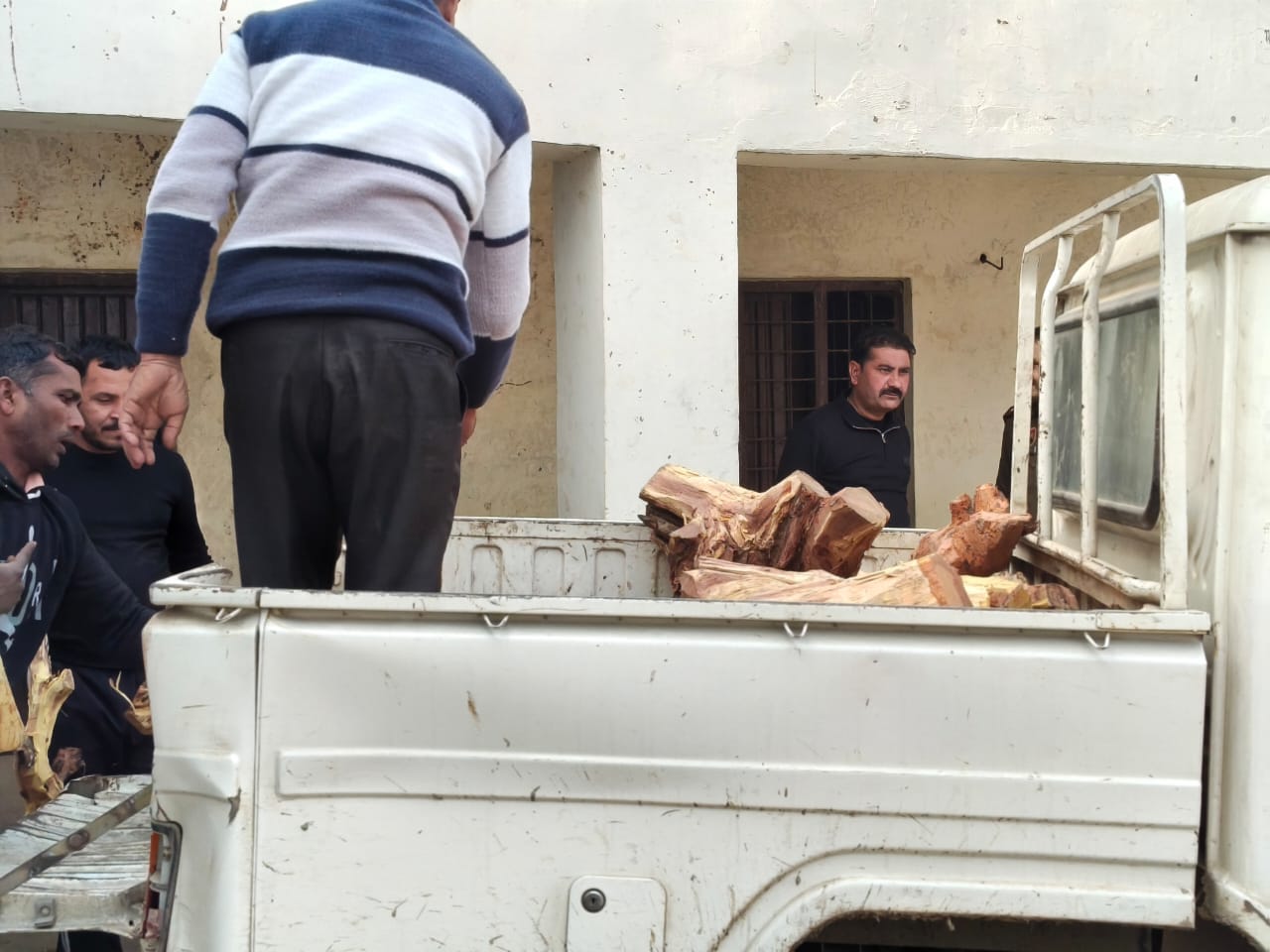 चिक्कन में रेड के बाद कांसली में मचा हड़कंप, पंचायत भवन में छुपाई गई खैर की लकड़ी