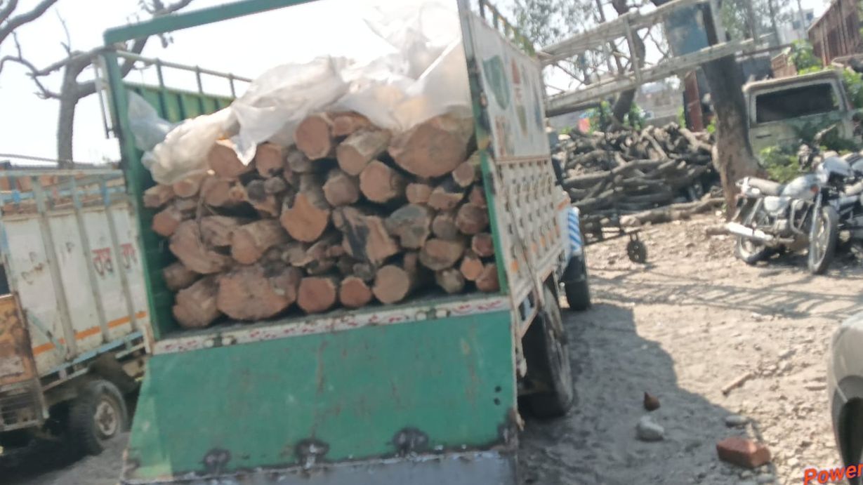 वन्य प्राणी विहार खिल्लांवाला, चिक्कन, कांसली से अवैध कटान: विभाग व पुलिस ने लकड़ी से लदी गाड़ी व एक आरोपी को किया काबू