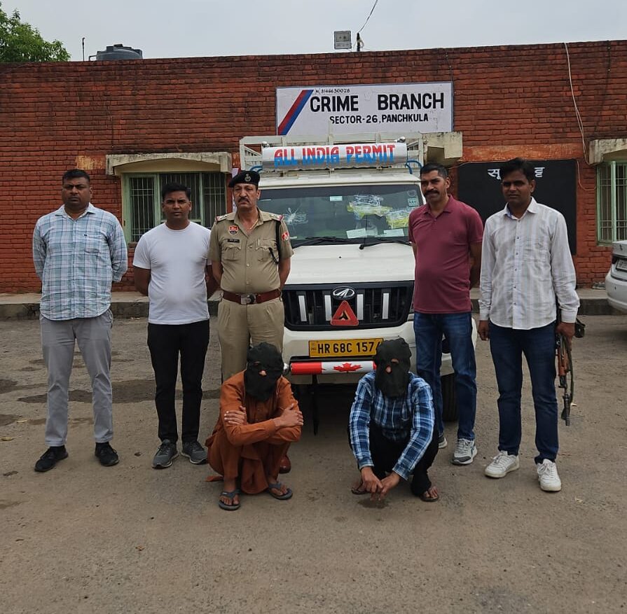 पंचकूला में खैर के अवैध कटान में वन खंड अधिकारी समेत 11 आरोपी गिरफ्तार, लाखों की लकड़ी, नगदी भी बरामद