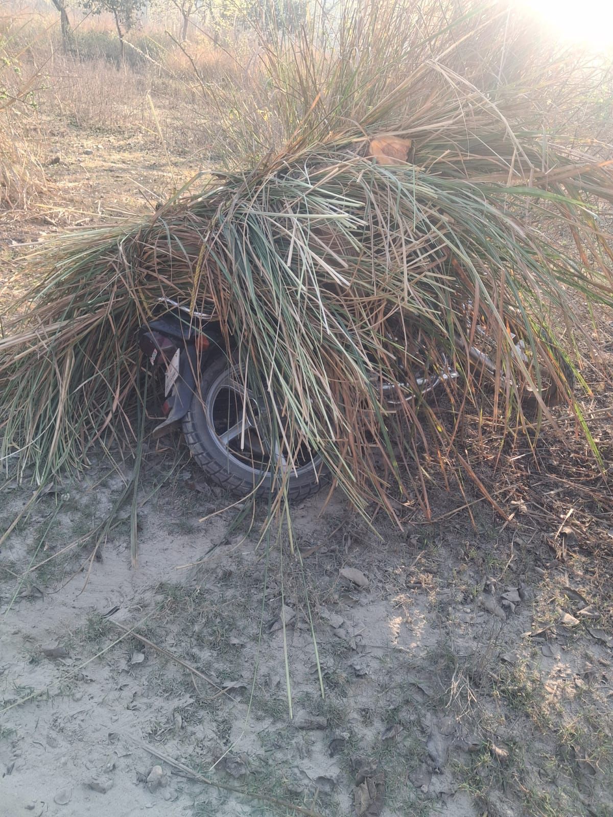 खिल्लांवाला वन्य प्राणी विहार से अवैध कटान कर ला रहे थे खैर की लकड़ी: बाइक काबू, आरोपी फरार