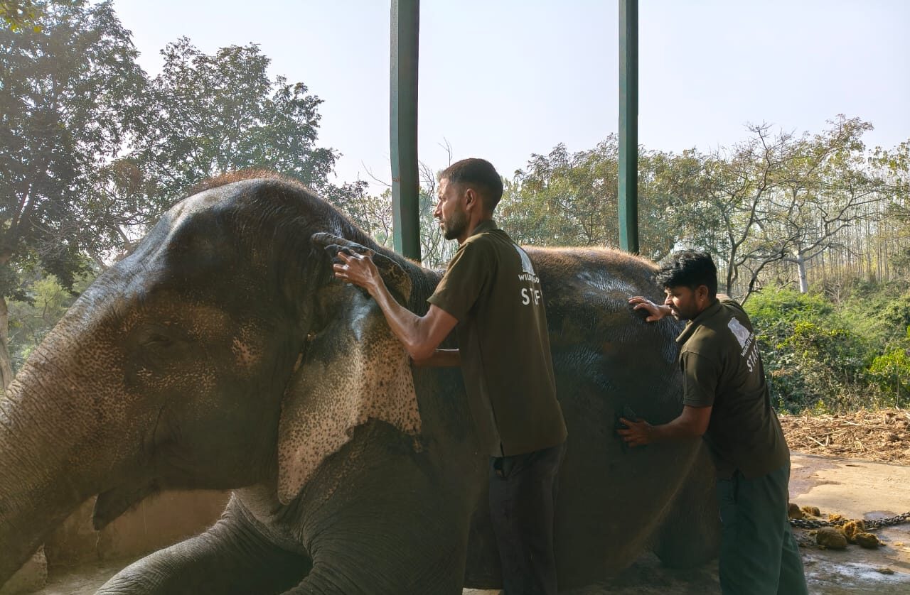 “सूनी हुई बनसंतौर ईआरसी की गलियां: नहीं रही सबकी लाडली चंचल, 84 साल की उम्र में तोड़ा दम”