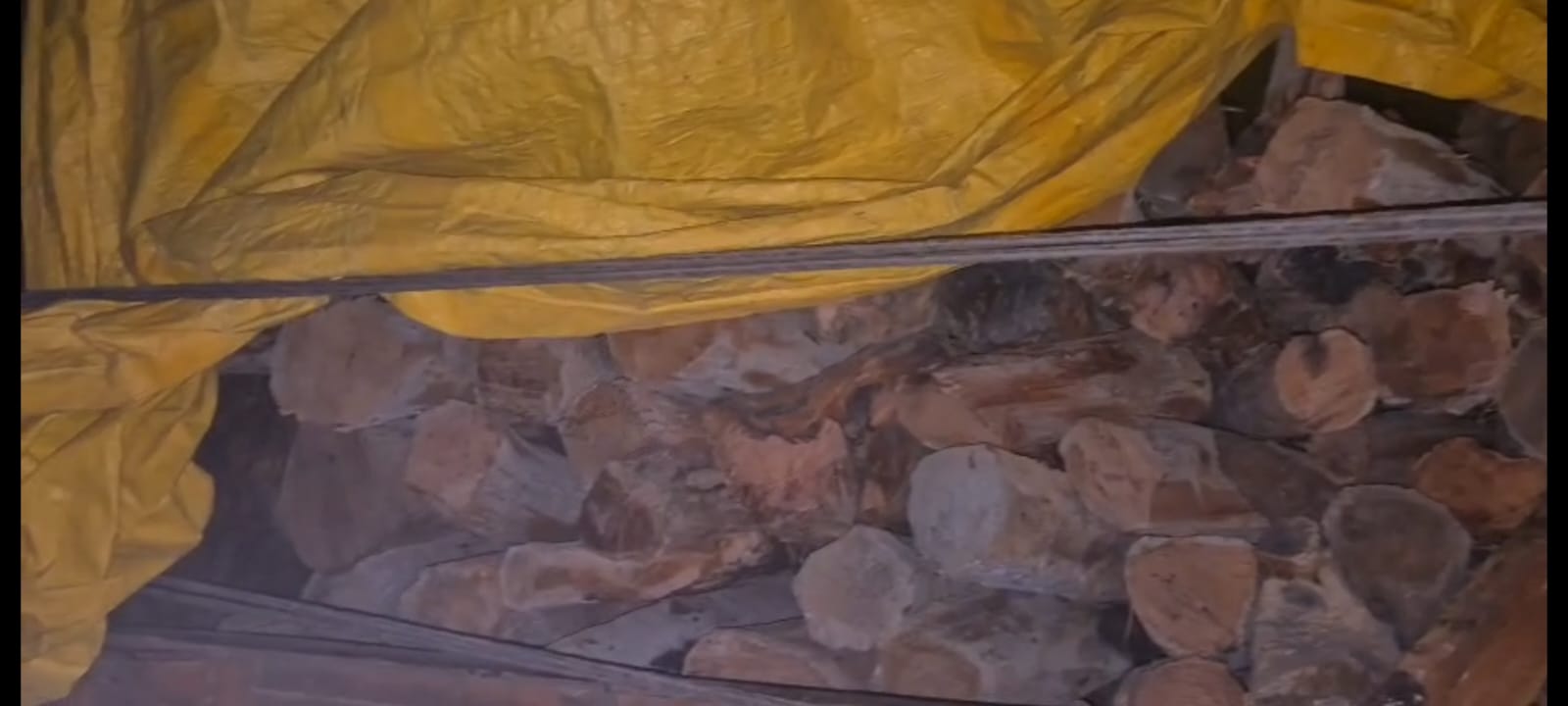 जगाधरी शहर में एक गोदाम में सीएम फ्लाईंग की रेड : खैर की लकड़ी से भरा ट्रक पकड़ा