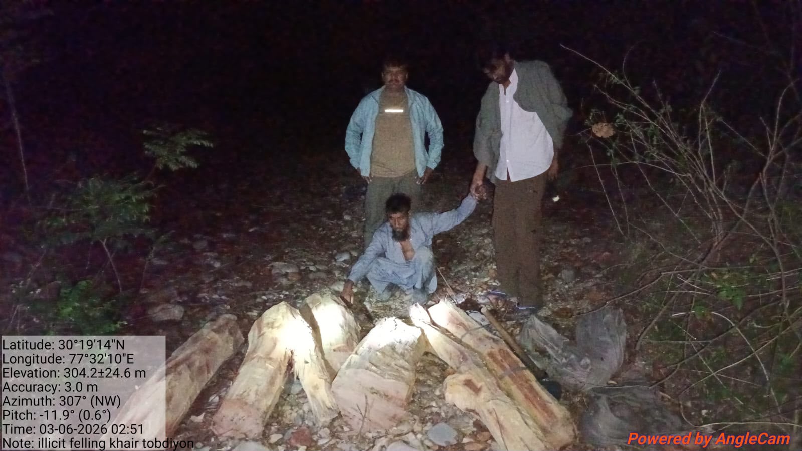  कलेसर वन्य जीव विहार में खैर के पेड़ काटने के मामले में एक आरोपी गिरफ्तार, 6 फरार, लकड़ी बरामद