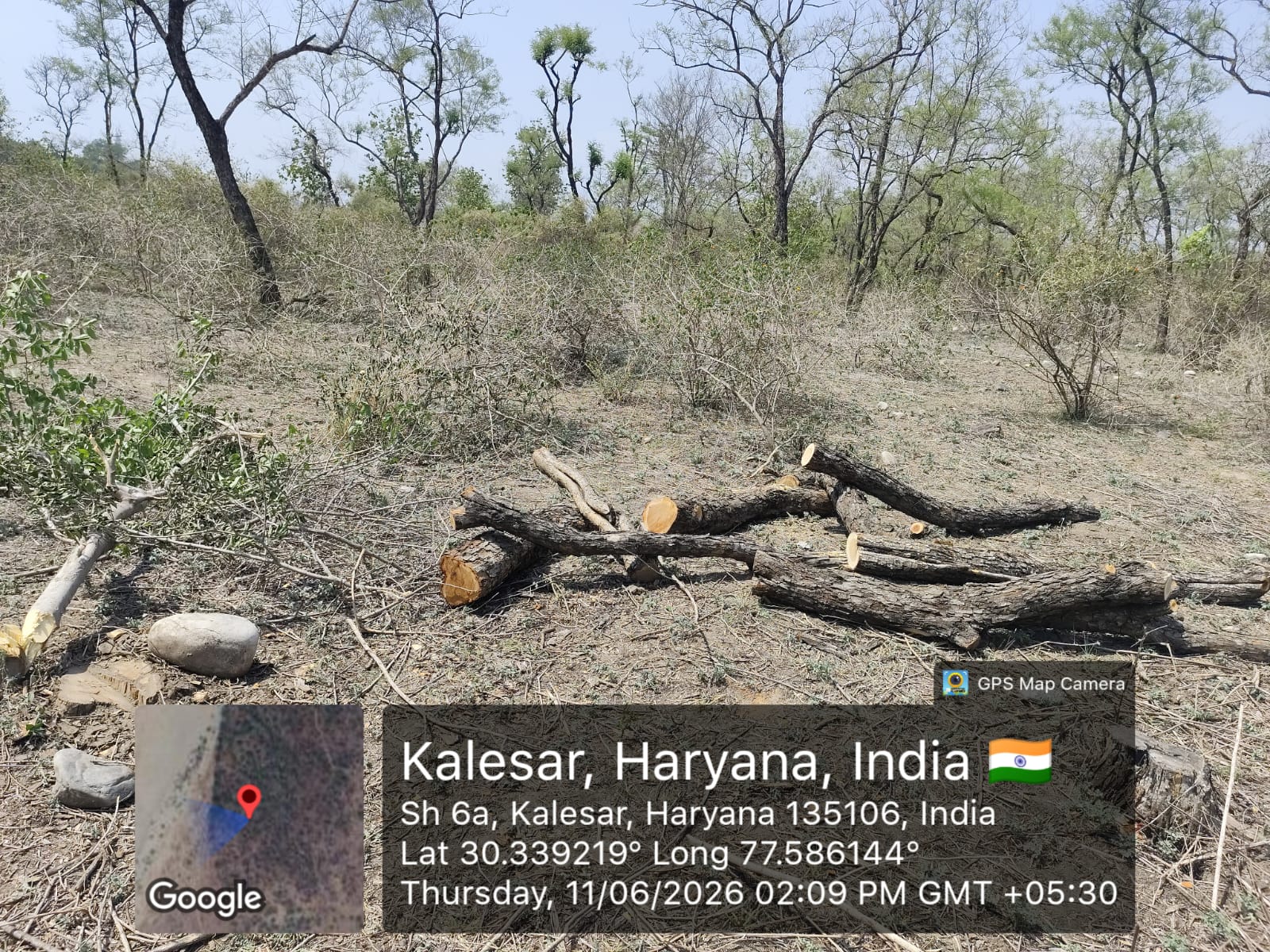 कलेसर खैरवैली में हुए अवैध कटान की पुलिस को शिकायत, दो माह में चौथी बार कटान की घटना
