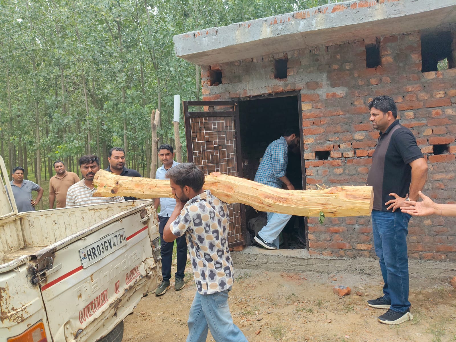 डारपुर में वन्य जीव विभाग की रेड: बाथरूम में छिपाकर रखी 2 पेड़ों की अवैध लकड़ी बरामद