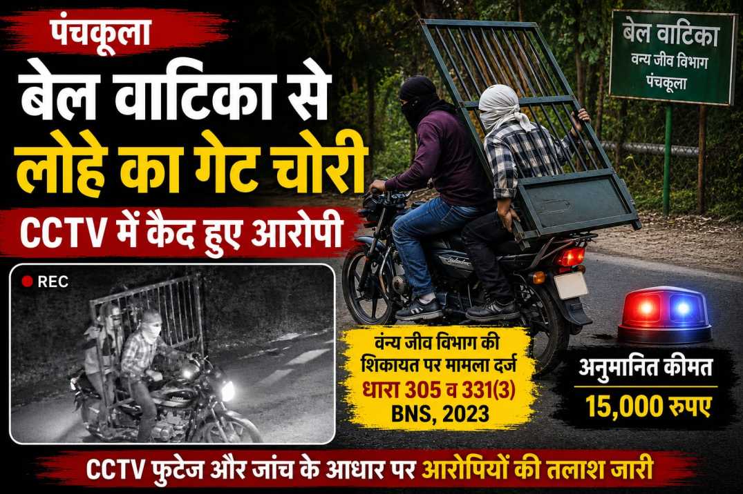 पंचकूला: मोरनी रोड स्थित वन्य प्राणी विभाग की बेल वाटिका से लोहे का गेट चोरी, CCTV में कैद हुए आरोपी