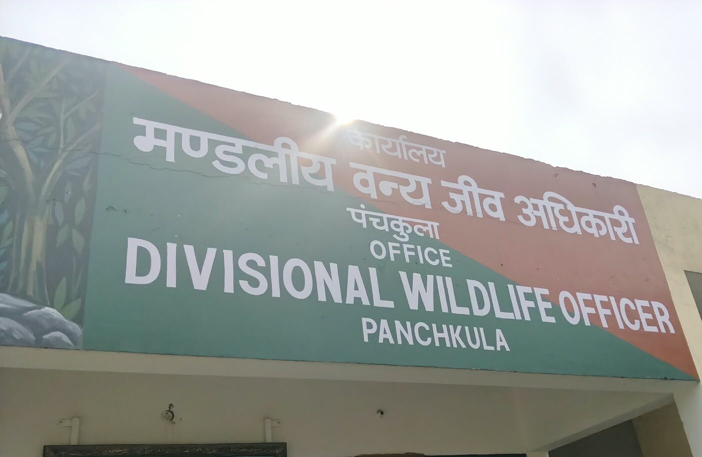 एसीएफ वाइल्ड लाइफ को केवल यमुनानगर के वनों की सुरक्षा का चार्ज, वित्तीय अधिकार डीडब्लयूएलओ पंचकूला के ही पास